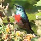 Birds in Lake Baringo: A Haven of Avian Diversity FullSizeRender 80x80
