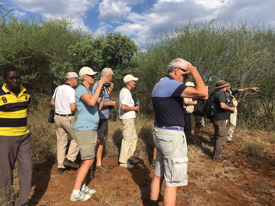 Swedish birders during 12-day trip in September 2019