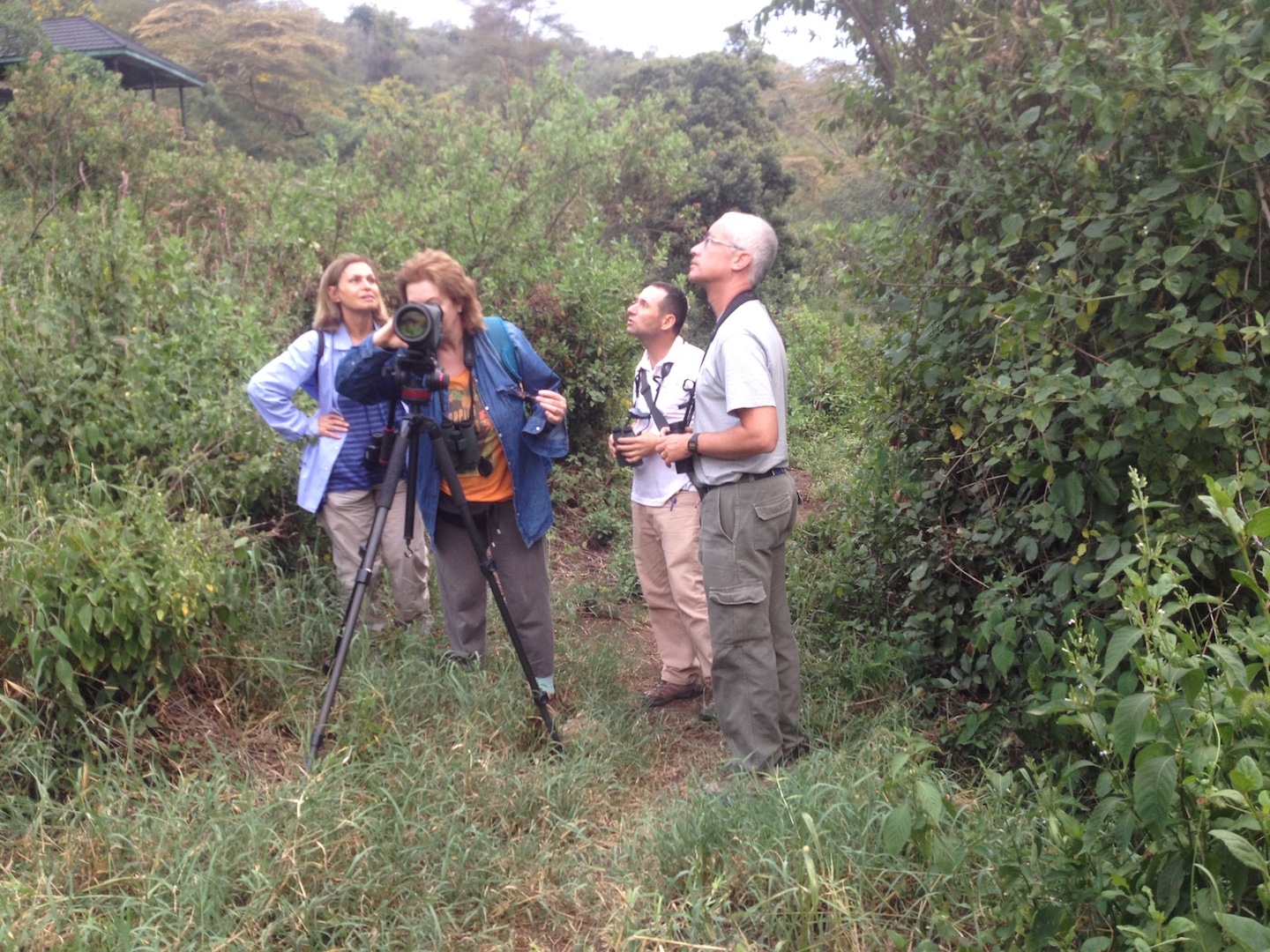 Israeli birders led YUVAL DAX, a bird guide and nature videographer. This was during the first trip to Kenya in September 2017. More about https://www.youtube.com/watch?v=jB6Qxu2WQXA 