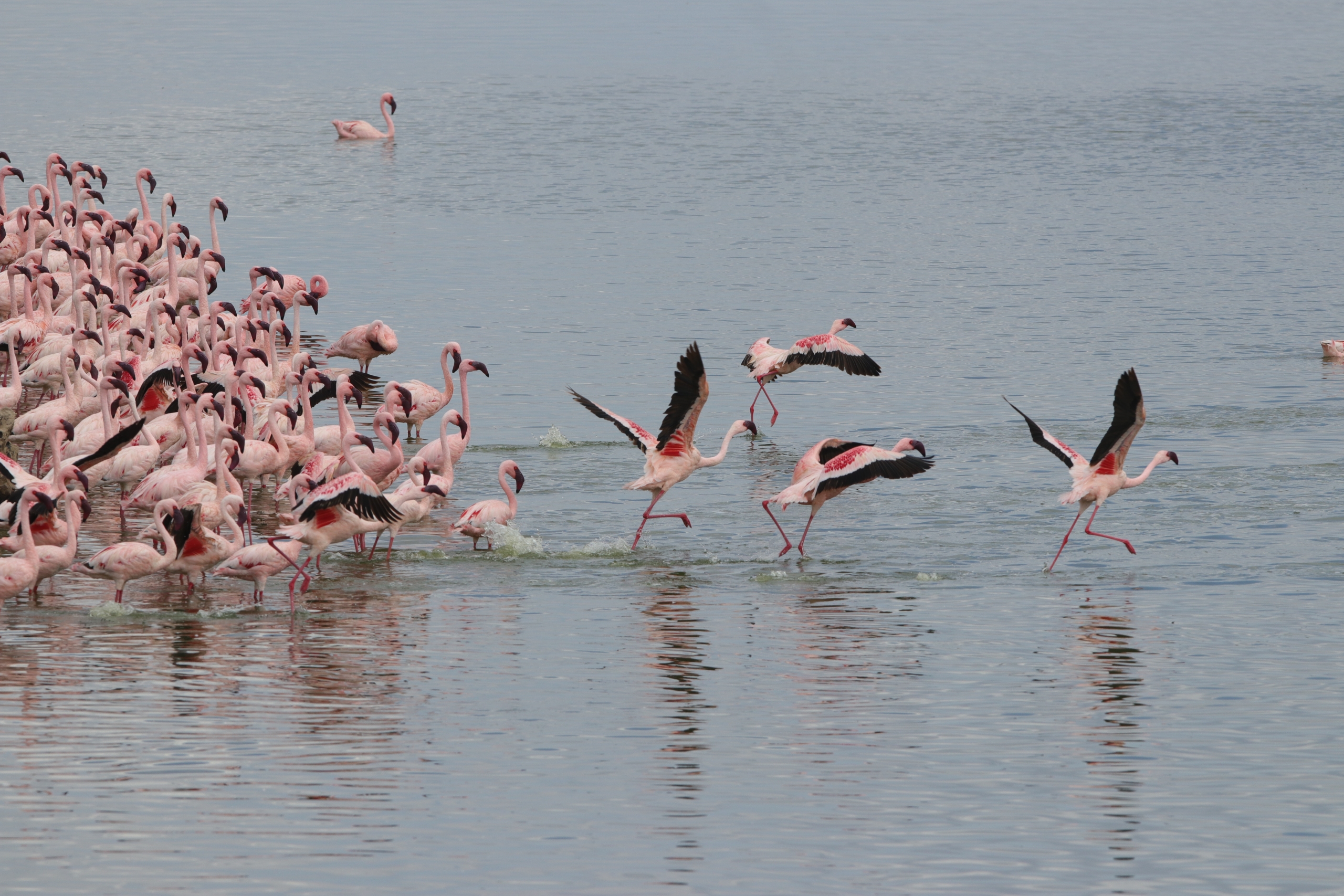 [object object] ITINERARIES IMG 3395 scaled