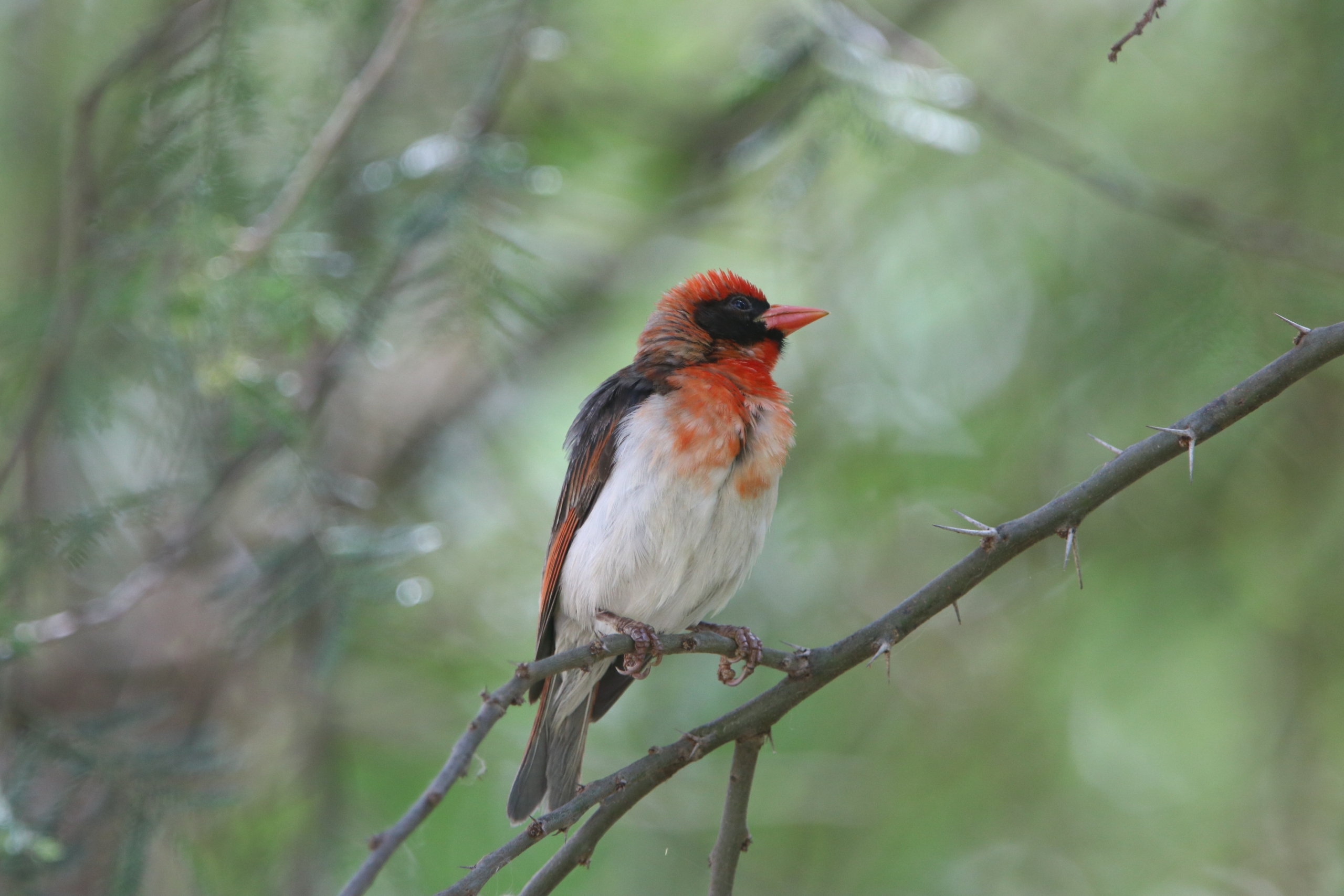 [object object] ITINERARIES IMG 6768 scaled