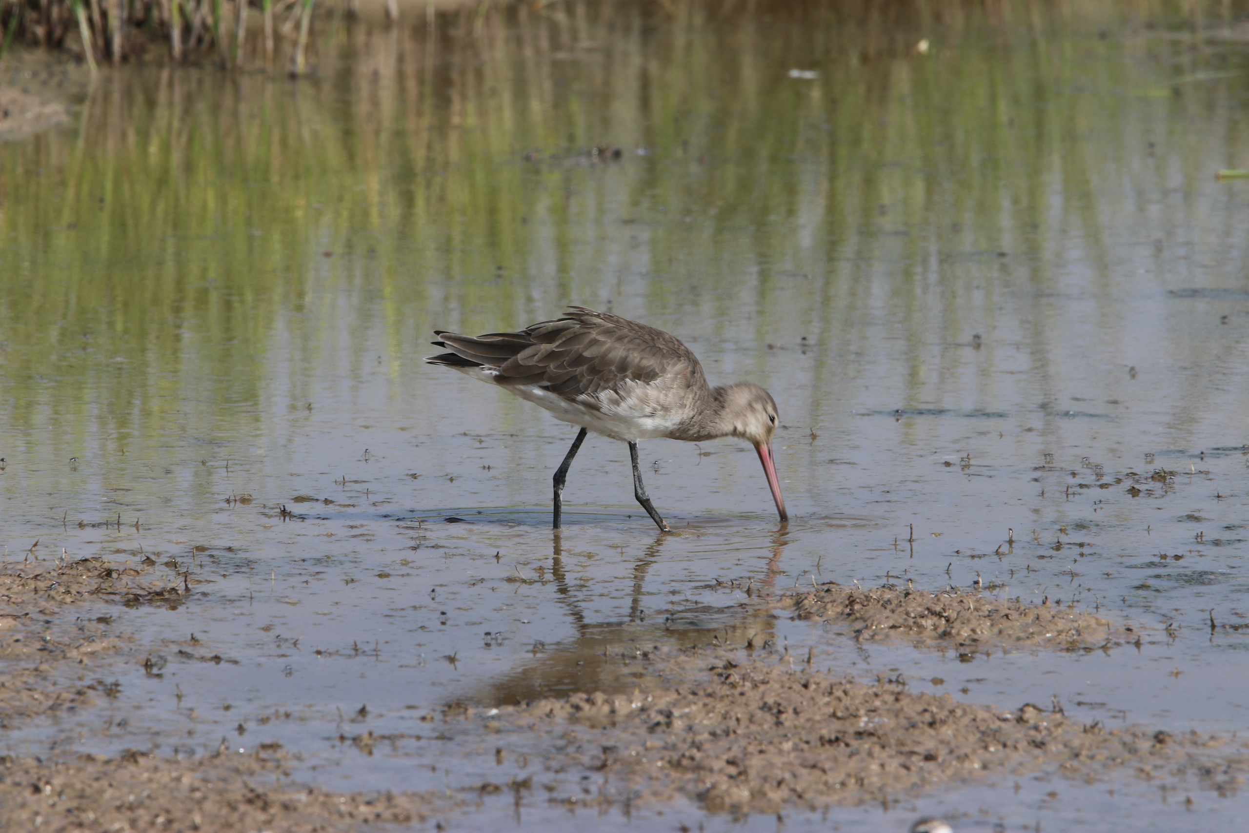 [object object] ITINERARIES IMG 1856 scaled