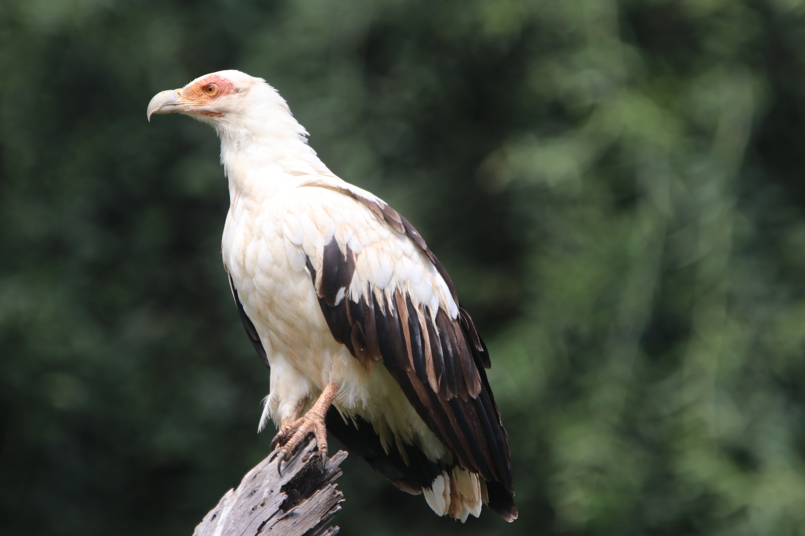 [object object] ITINERARIES IMG 6672 scaled