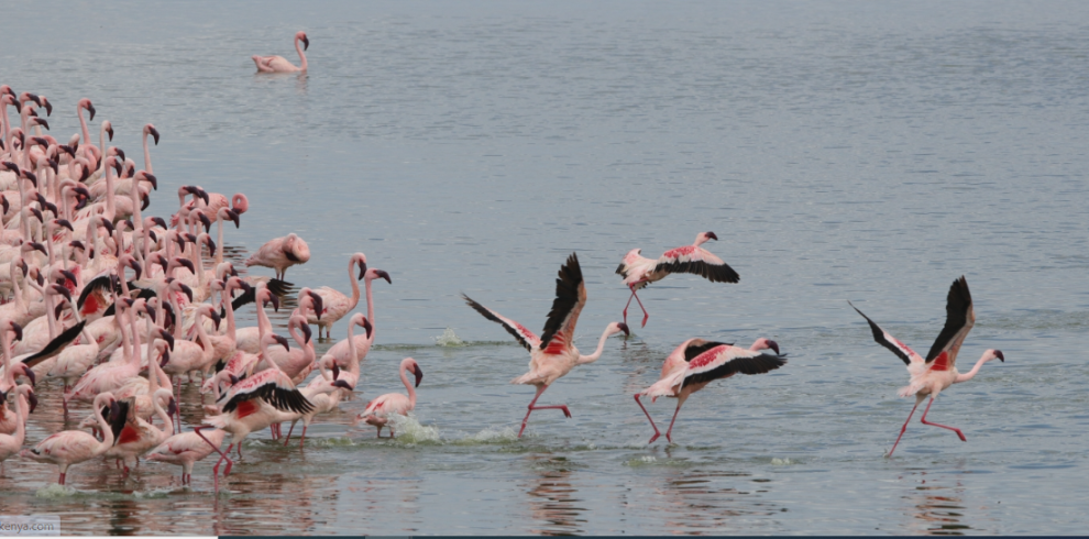 Trips slider 990x490  Trips slider 990x490